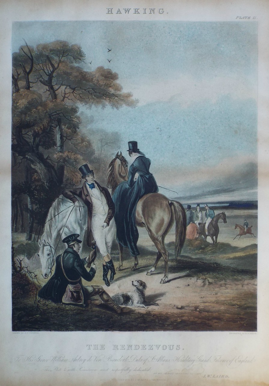 Aquatint - Hawking: Rendezvous. Plate II - Reeve